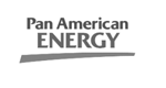 Pan American Energy